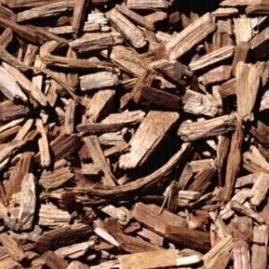 Air quality concerns raised over biomass plant