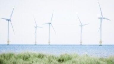Doubts raised over effectiveness of wind power