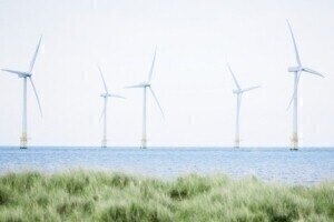 Doubts raised over effectiveness of wind power  