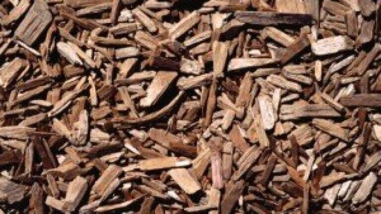 MSP raises air quality concerns over biomass plant
