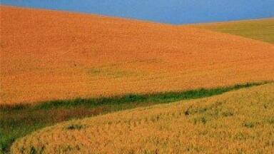 MEP vote could help EU members boost soil quality