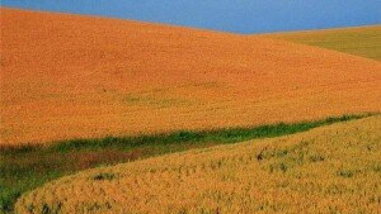 MEP vote could help EU members boost soil quality