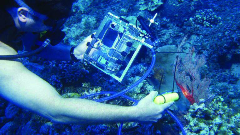 Analysing Marine Life from Reflection and Fluorescence to Upwelling or Downwelling