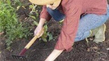 Soil decontamination in China heralds good results