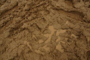 Environmental legislation 'must be enforced to prevent mud disasters'