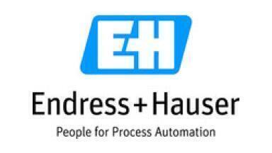 Trial shows Endress+Hauser temperature probes can take the heat!