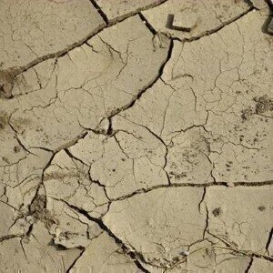 Drought fears in Britain 