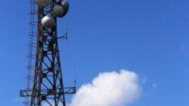 Indian ministry explores mobile tower impact on avian life