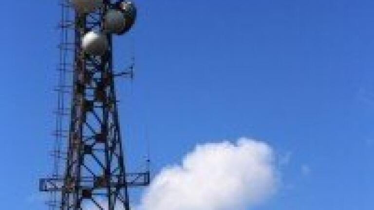 Indian ministry explores mobile tower impact on avian life