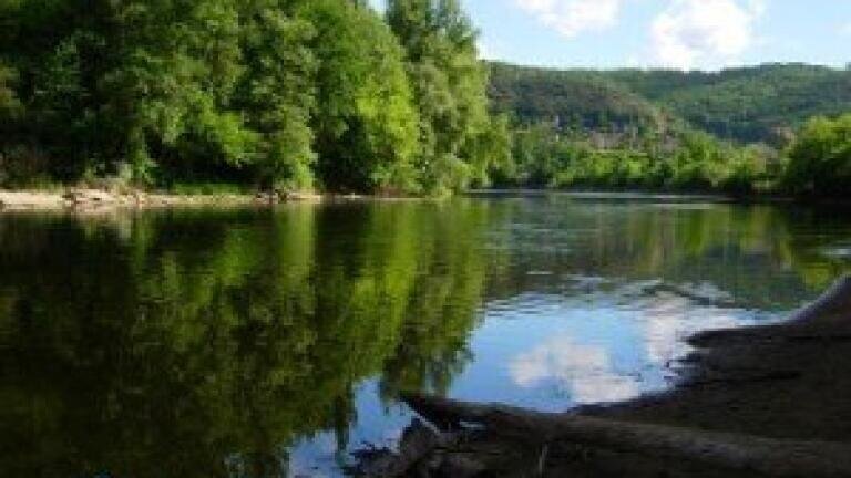 EU criticises France over water quality