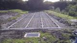 Investment in Reed Bed Refurbishment