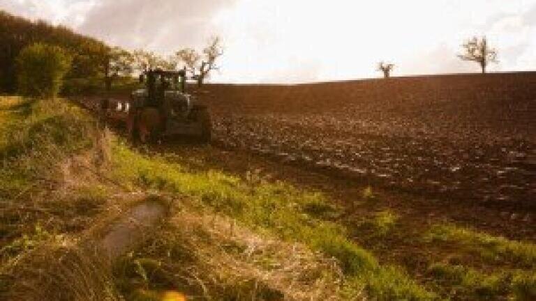 New Zealand farmers 'must take more responsibility' over soil quality