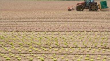 Talk arranged to discuss degradation in quality of British soils