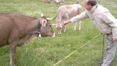 Scottish farmers receive grants to improve water quality