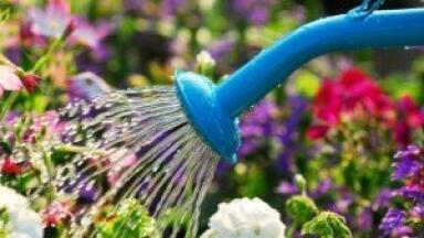 Environmental legislation cut back after wet April