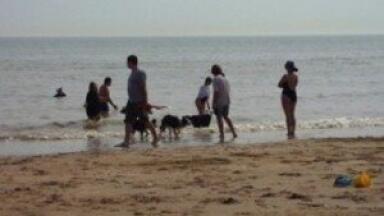 Two Essex beaches lose Blue Flags for poor water quality