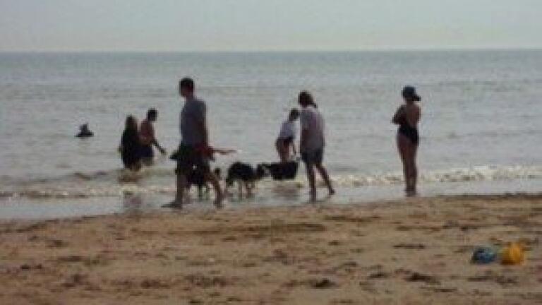 Two Essex beaches lose Blue Flags for poor water quality