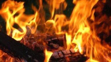 Clean air campaigners criticise move by gov to restrict wood from landfill