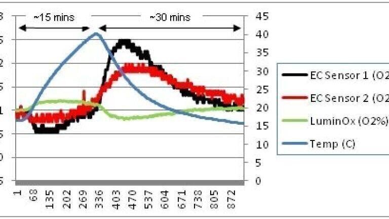 Effect of Temperature Changes at 21% O2