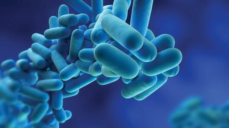 Microbiological Testing Equipment