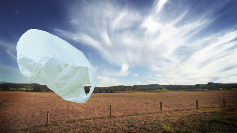 When you don’t want a Bag for Life….use Rheology to Investigate Polymer Biodegradability