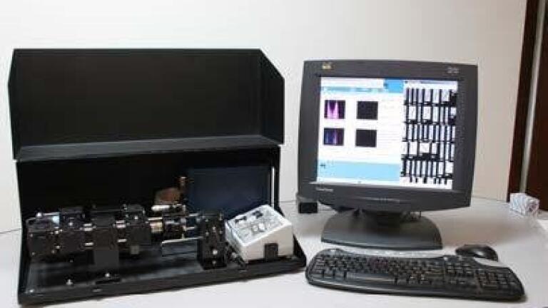 Automated Analysis of Ballast Water Samples