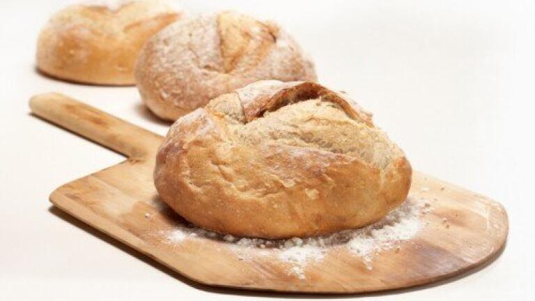 Could bread that does not go mouldy be the answer to waste?