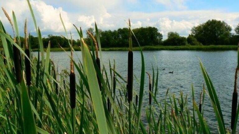 Water in the north-east has been polluted by Biffa