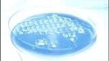 WinLIMS Improves Efficiency at Contract Lab