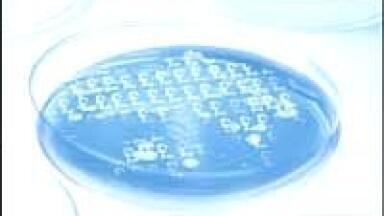 WinLIMS Improves Efficiency at Contract Lab