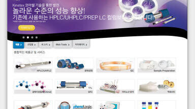 Growing Korean Market Served with Translated Website