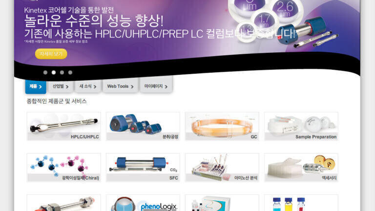 Growing Korean Market Served with Translated Website