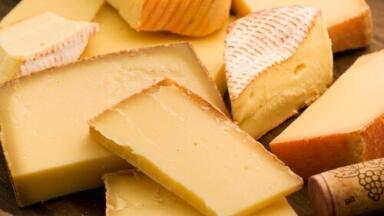 Processor plant converts wastewater from dairy plants into energy