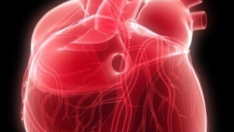 Noise pollution can cause heart disease