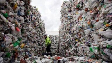 New bacteria found on plastic debris could mean an end for landfill
