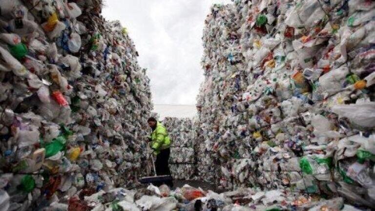 New bacteria found on plastic debris could mean an end for landfill