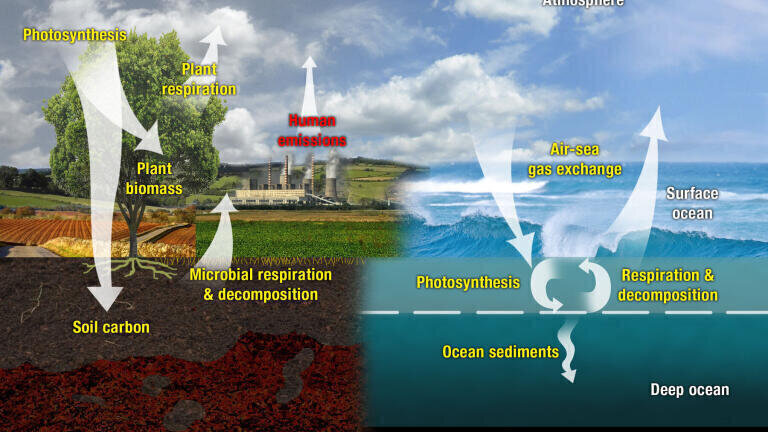 Elemental Analysis Assists Monitoring of the Carbon Cycle