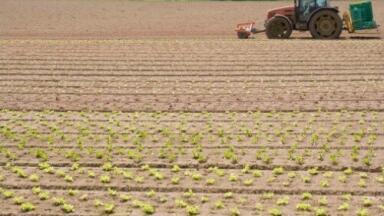Nitrogen fertiliser can 'impact soil and groundwater for decades'