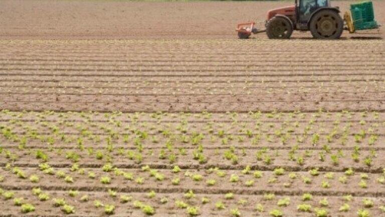 Nitrogen fertiliser can 'impact soil and groundwater for decades'