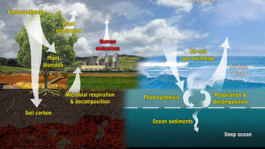 Optimised Techniques for Determining Organic and Inorganic Carbon