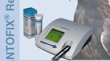 Automated Reader for Test Strips