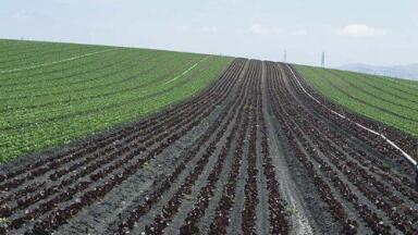 Taiwanese plant faces closure over water pollution