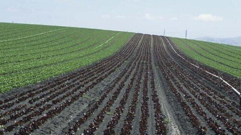 Taiwanese plant faces closure over water pollution