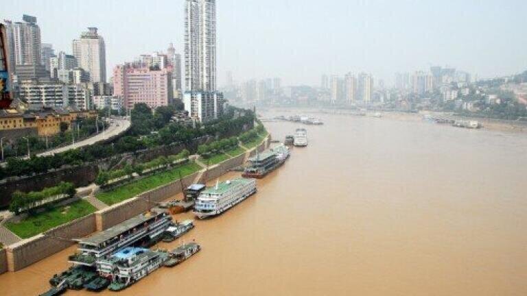 Chinese wastewater plants 'released drug immune gene'