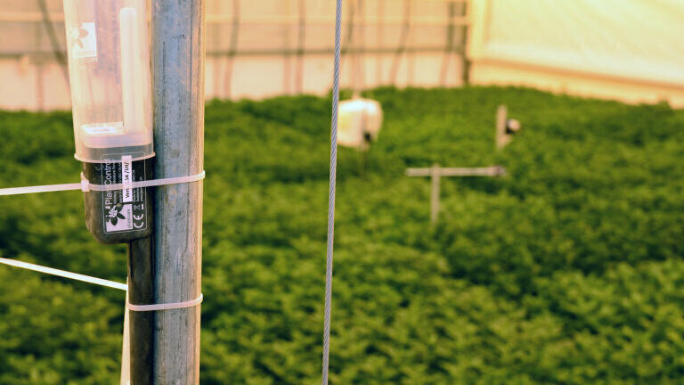 Dutch University Uses Patented Technology for Soil Moisture Research