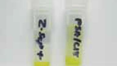 Increase Removal of Fat and Pigment from Avocado Extracts