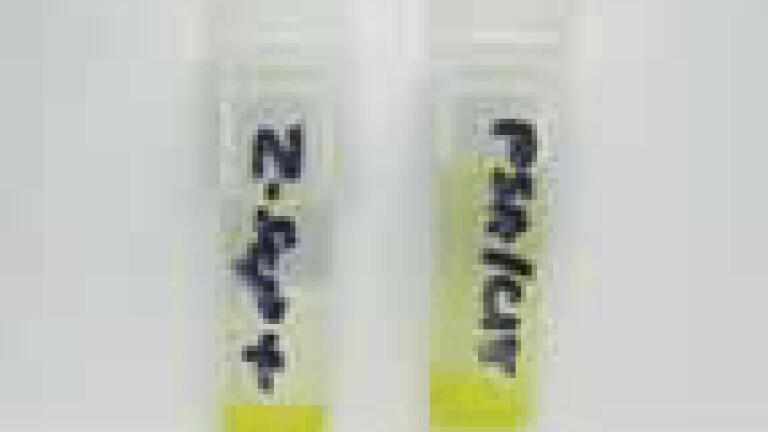 Increase Removal of Fat and Pigment from Avocado Extracts