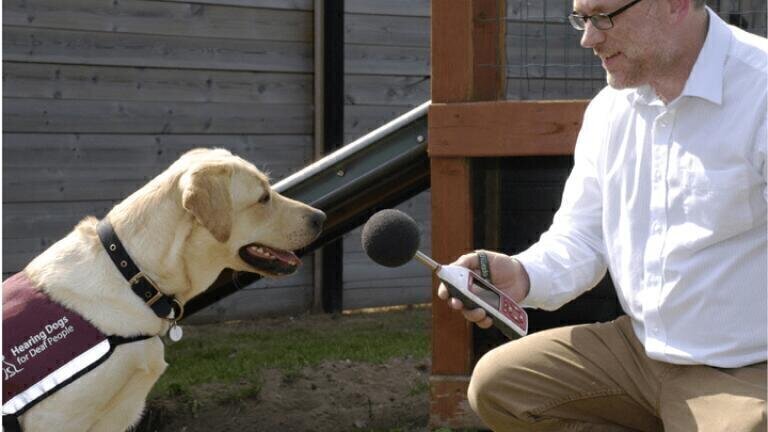 Barking up the Right Tree with Noise Monitoring Solutions at the Health and Safety Expo 2014
