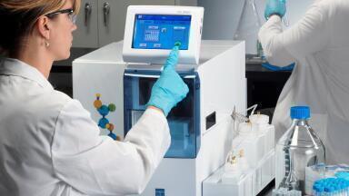 Analysis Solutions for the Food Chain