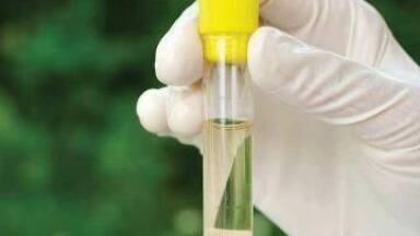 Environmental Analysis Solutions